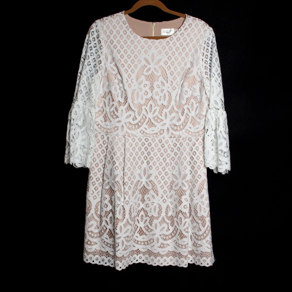 Eliza J Dresses & Skirts - NWT- Eliza J -Fit and Flare Lace Bell Sleeve Dress